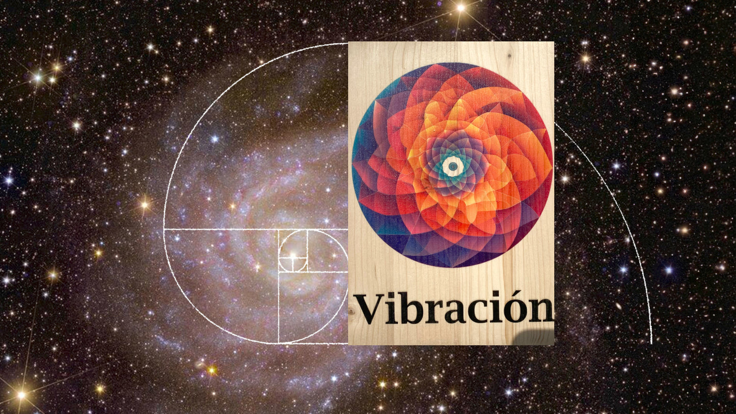 Madera con ánima: Microcosmos