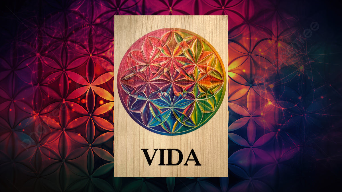 Madera con ánima: Microcosmos