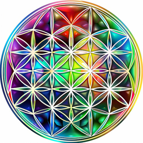 Madera con ánima: Microcosmos