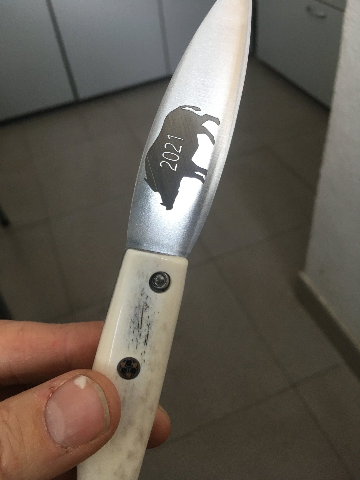 Navaja caza con jabalí grabado trofeu premio