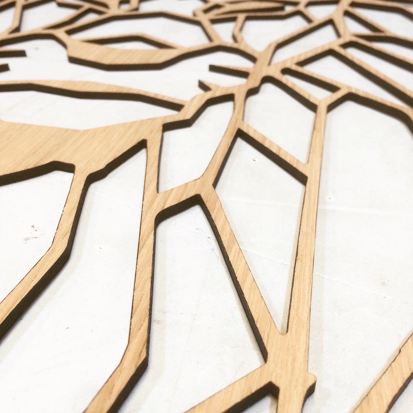 Cabeza león madera roble natural decoración pared