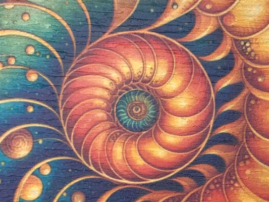 Madera con ánima: Cosmos