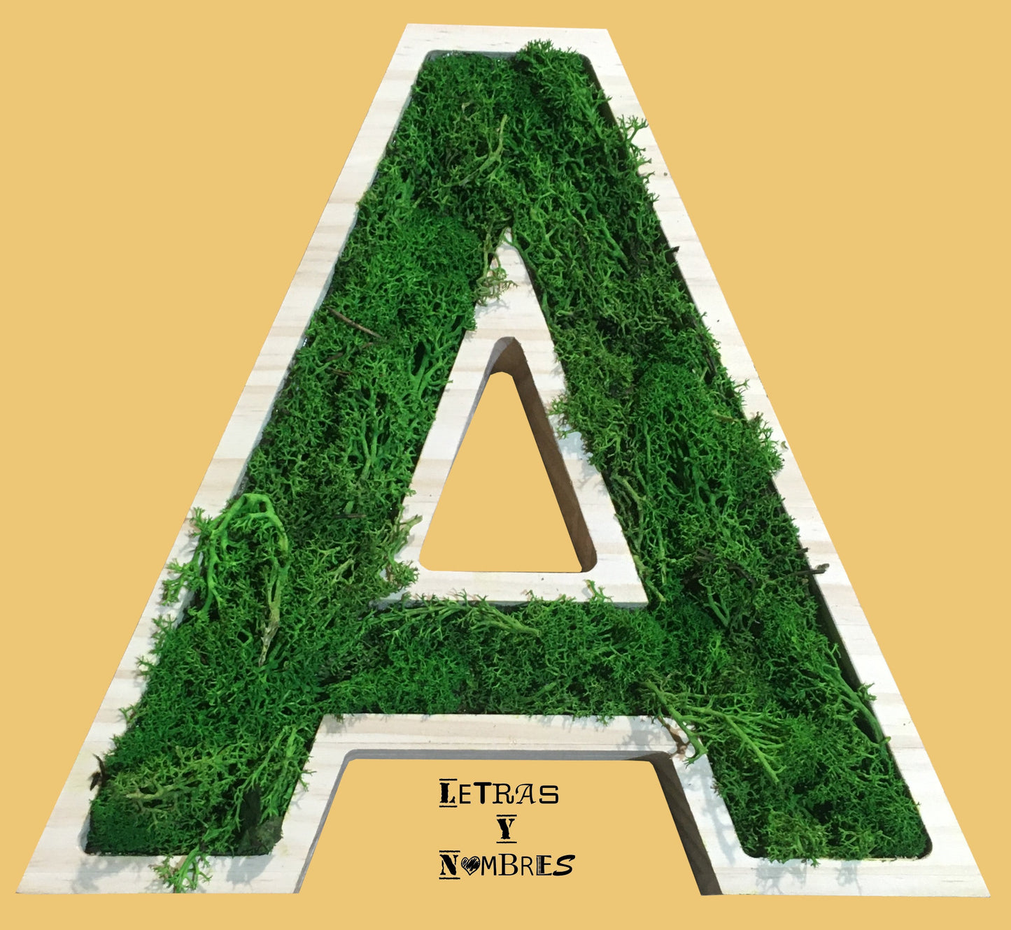 Letras Iniciales de Madera con musgo verde