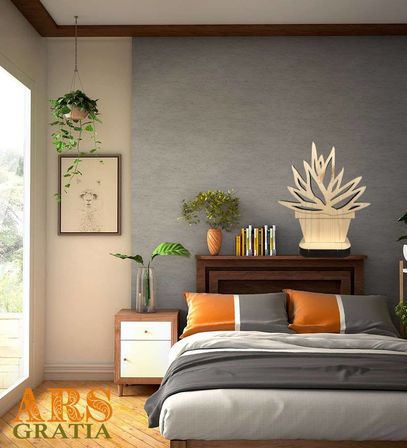 Plantas succulentas de madera (adornos)