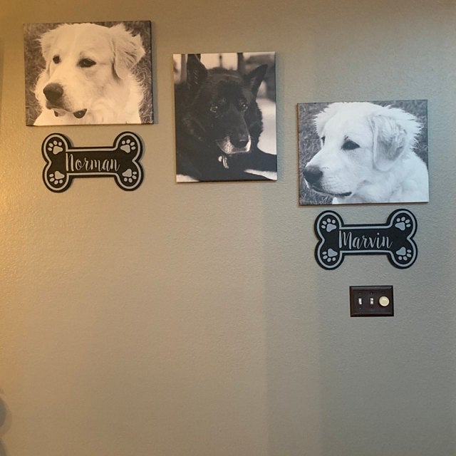 Nombre para mascota/perro