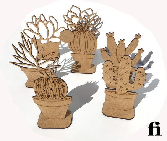 Pack de plantes succulentes et cactus